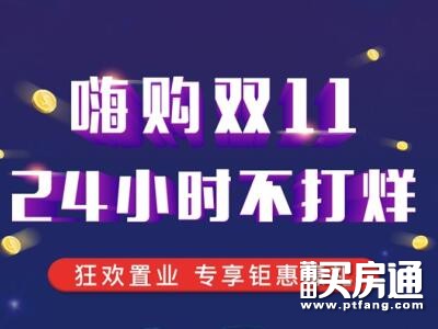 滨海南城府：双11夜购会 狂欢不打烊 3重钜惠豪礼