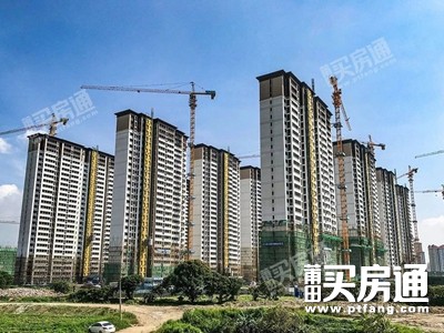 108套，1000多人抢！莆田新度的这个商品房很疯狂！