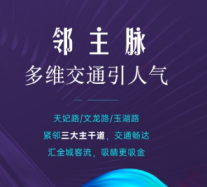 联发建发玉湖兰溪：紧邻三大主脉 人潮澎湃