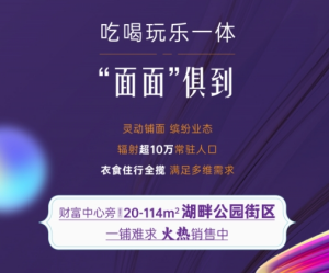 联发建发玉湖兰溪：灵动尺度铺面 丰富业态