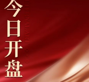 联发嘉和府：城芯嘉和 今日开盘