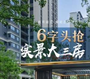 保利堂悦：【最后5套】黄金楼层大三房